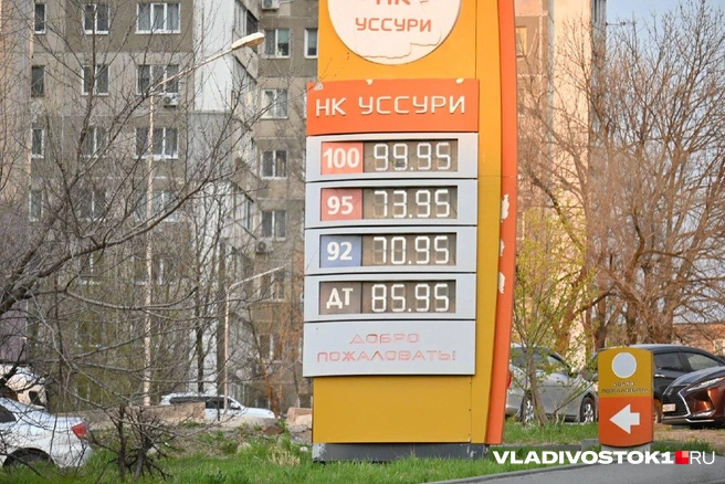 Источник: Елена Буйвол / VLADIVOSTOK1.RU