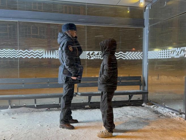 Часть задержаний произошла ночью, в условиях метели | Источник: УМВД Екатеринбурга