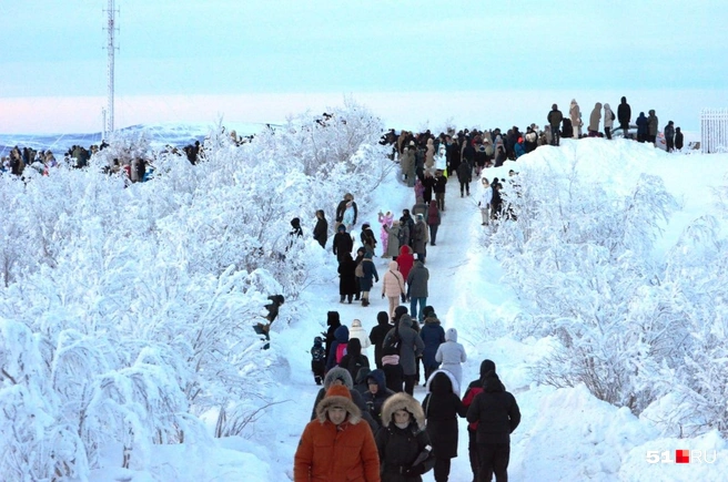 Источник: Дмитрий Артёменко / 51.RU