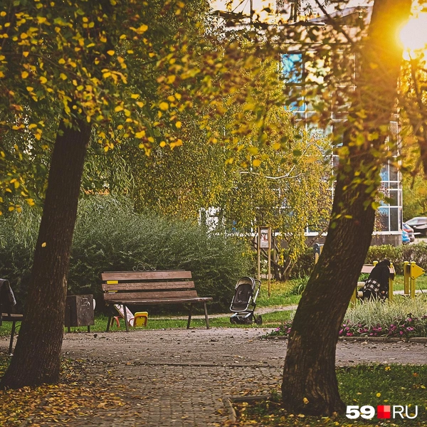 Солнце светит уже не по-летнему, но все еще греет | Источник: Василина Любимова / 59.RU