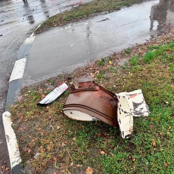 Источник: Александр Горбанев / 71.RU