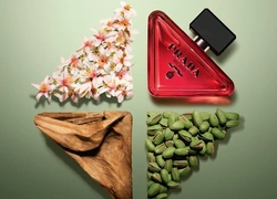 Prada Paradoxe: Как подобрать свой парфюм из коллекции