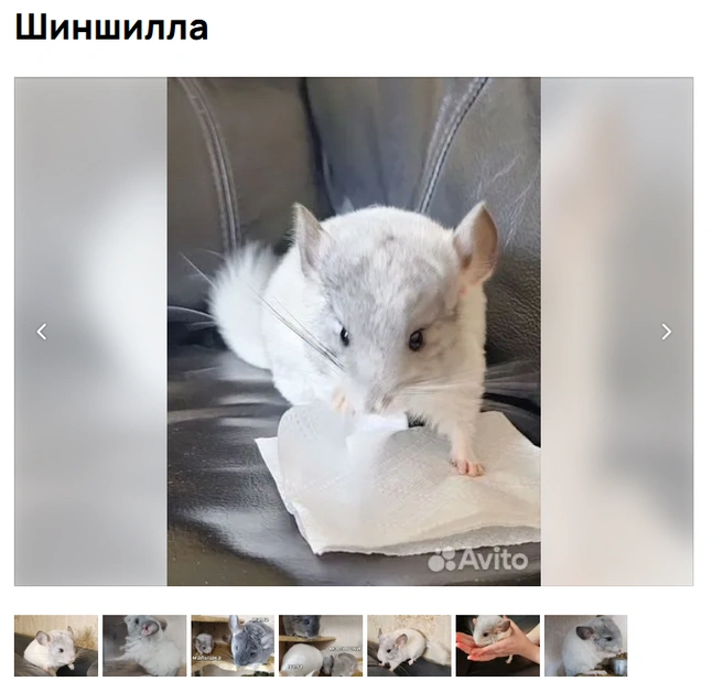 Аккуратность во всем | Источник: Avito.ru