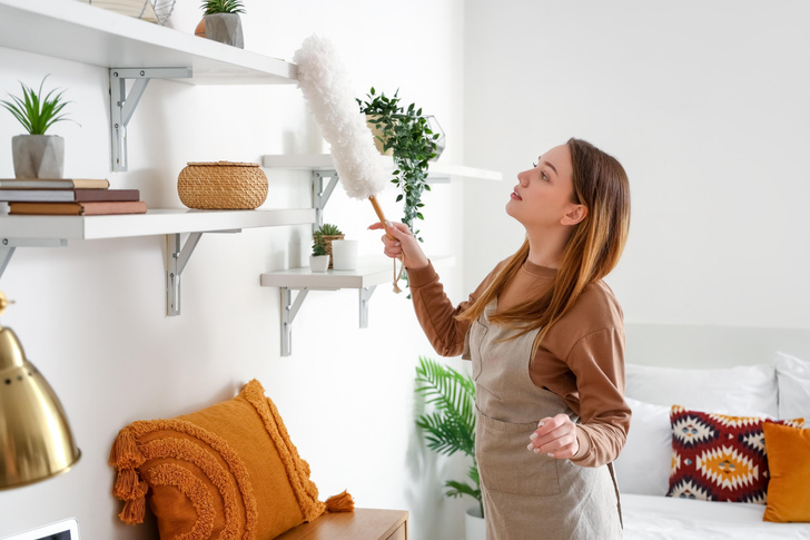 Как сократить количество пыли в доме без уборки: 7 доступных способов