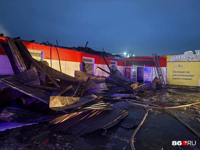 Источник: Анастасия Сидорова / 86.RU