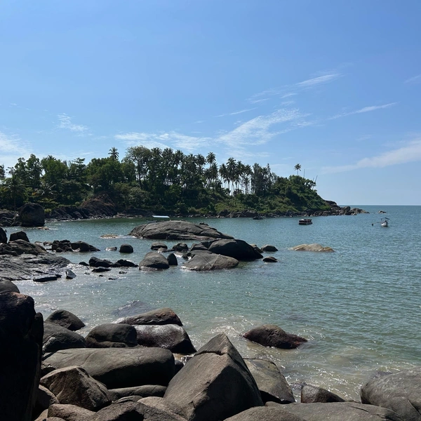 Источник: Софья Золотухина