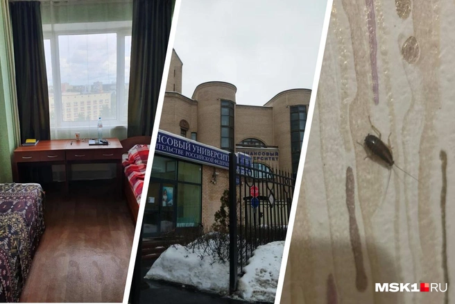 Учащиеся «Финашки» показали, в каких условиях им приходится жить | Источник: Андрей Самосудов / «Яндекс Карты», «Яндекс Карты», студентка Анастасия