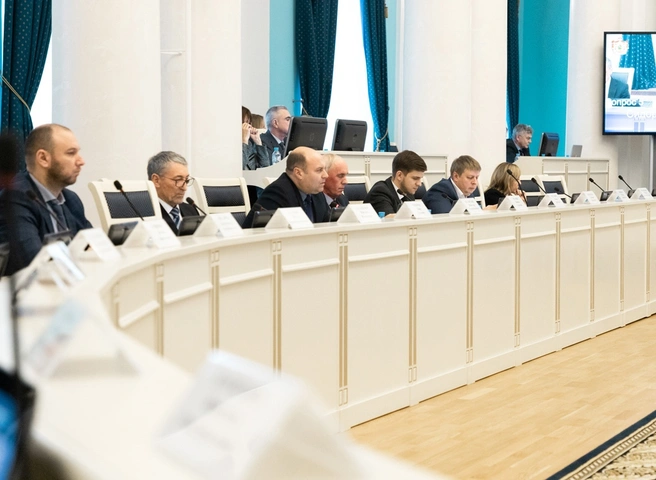 В Рязанской области подготовлена концепция работы с безнадзорными животными | ya62.ru