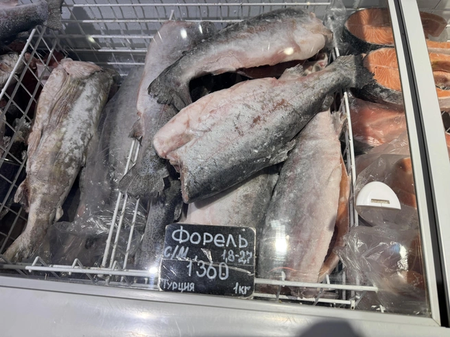 Источник: Юлия Король / 45.RU