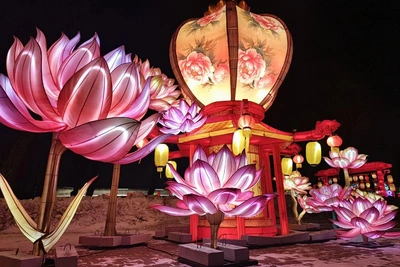 Выставку китайских фонариков на Заячьем острове продлили после метели