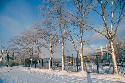 Рязанское МЧС призвало реже бывать на улице из-за ухудшения погоды