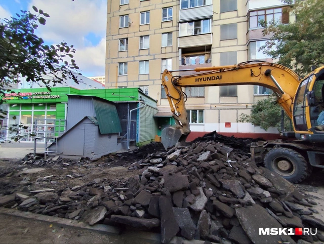 Источник: Александра Кудряшова / MSK1.RU