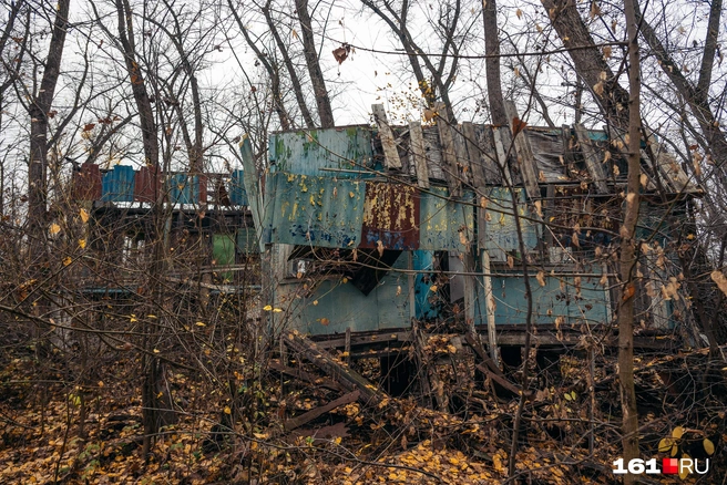 Источник: Евгений Вдовин / 161.RU