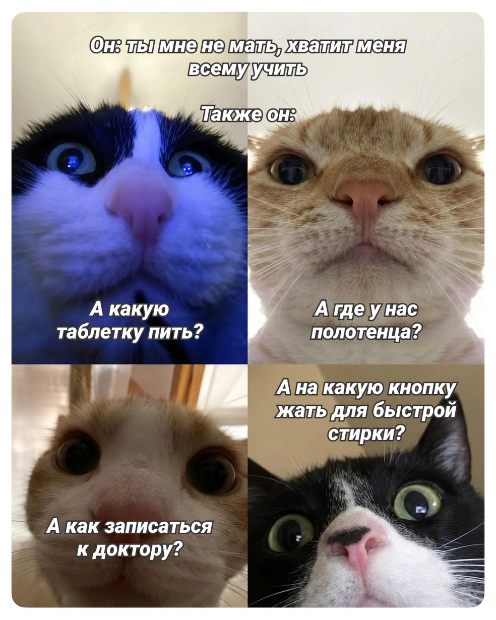 Никаких нравоучений | Источник: Городские медиа