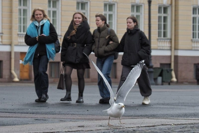 Барический гребень изменит погоду в Петербурге 20 марта
