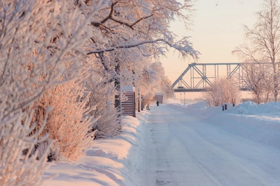 Снег и туман ожидаются в Архангельской области завтра