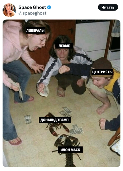 Источник: X (Twitter)