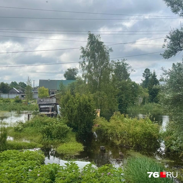 Село Заозерье в 2021 году было признано самым красивым в России | Источник: читатель 76.RU