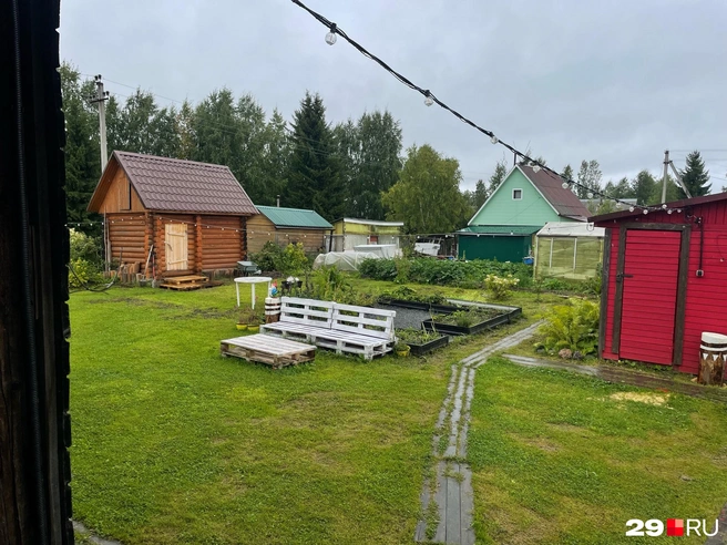 Рядом находится участок соседей. Вместо забора планируют устроить изгородь из растений | Источник: Антон Данилов / 29.RU