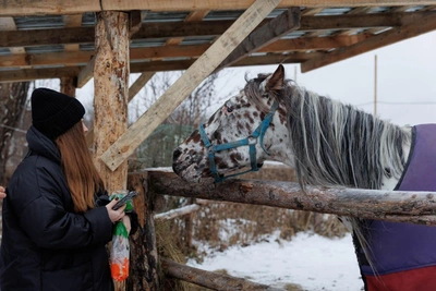 Blind Johnny and Granny Rimka: Horse Rescue in Tyumen