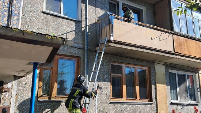 Операция по спасению с лестницей и топором в руках | Источник: МЧС Красноярского края/ Telegram