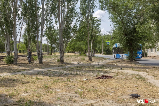 На месте аккуратного сквера с фонтаном остался лишь замусоренный пустырь | Источник: Константин Завриков / V1.RU