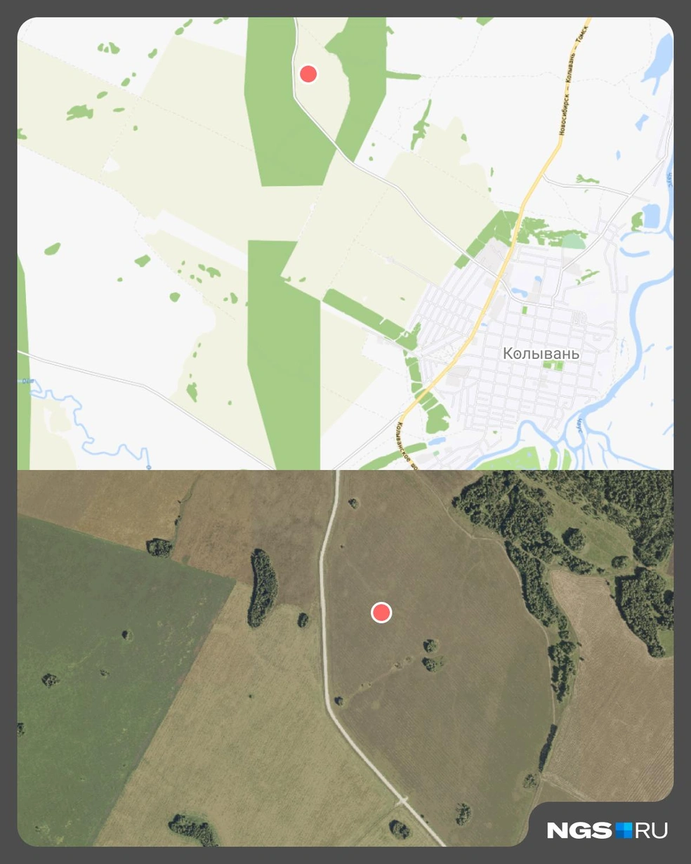 Участки расположены сравнительно недалеко от Колывани, но протянуть к ним необходимые коммуникации льготникам не по карману | Источник: Юрий Орлов / Городские медиа