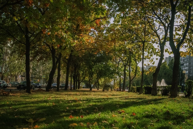Источник: Юлия Воропаева