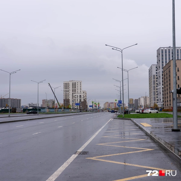 Улица Фармана Салманова отделяет новый район Тюмени от деревни Дударева, которая находится прямо напротив | Источник: Илья Чикотин / 72.RU
