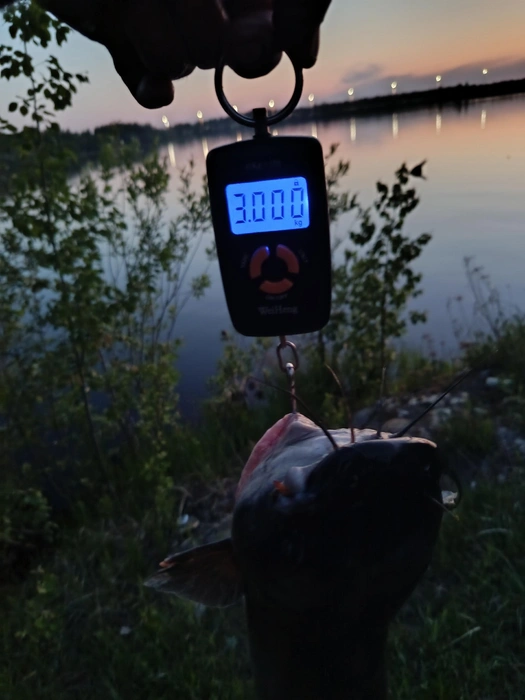 Источник: Арам Эдуардович / «Рыбалка в Сургуте [Fishing ХМАО]» / Vk.com