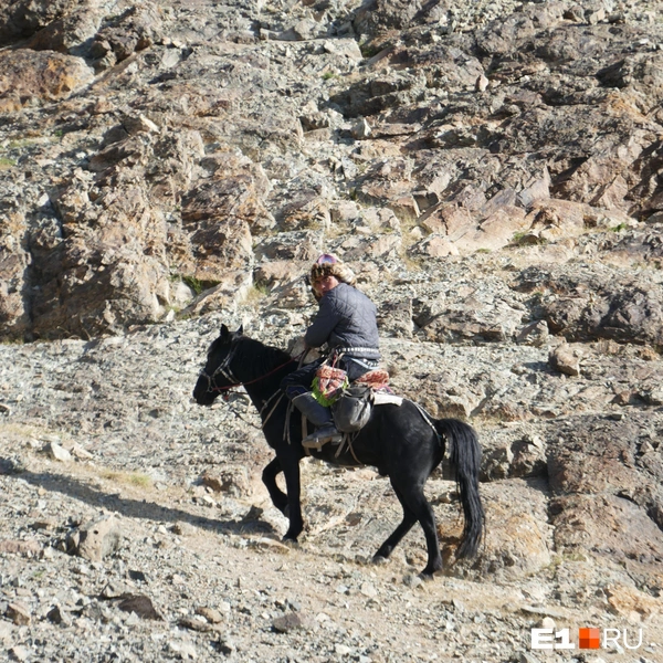 Монгольский всадник | Источник: Дарья Черткова