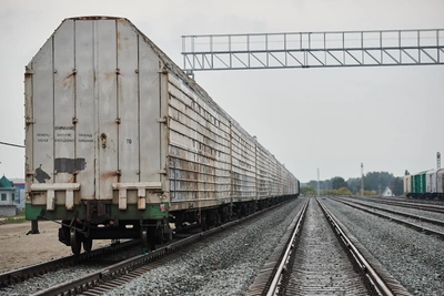 Два вагона сошли с рельсов на станции Коченево