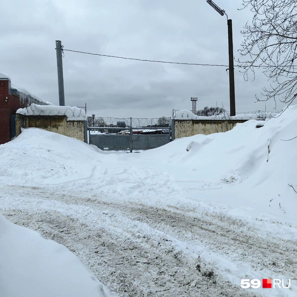 Пожарный въезд в парк | Источник: Василина Любимова / 59.RU