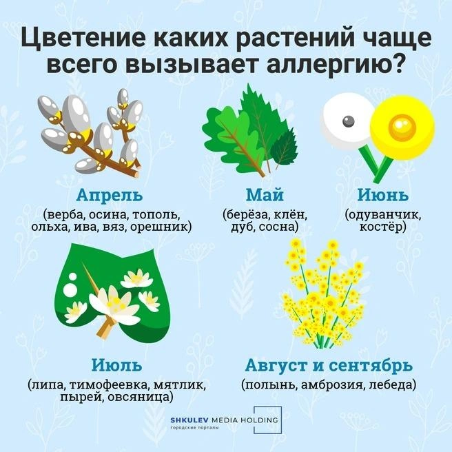 Источник: Городские медиа