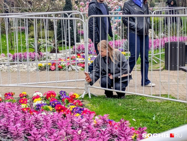Сезон селфи официально открыт, только цветы — под охраной | Источник: Оксана Витязь