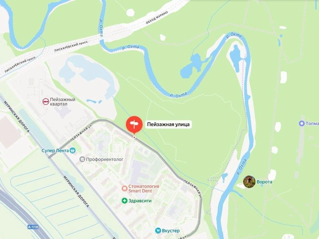 Будущий парк расположен между Пейзажной улицей и рекой Охтой | Источник: Яндекс.Карты