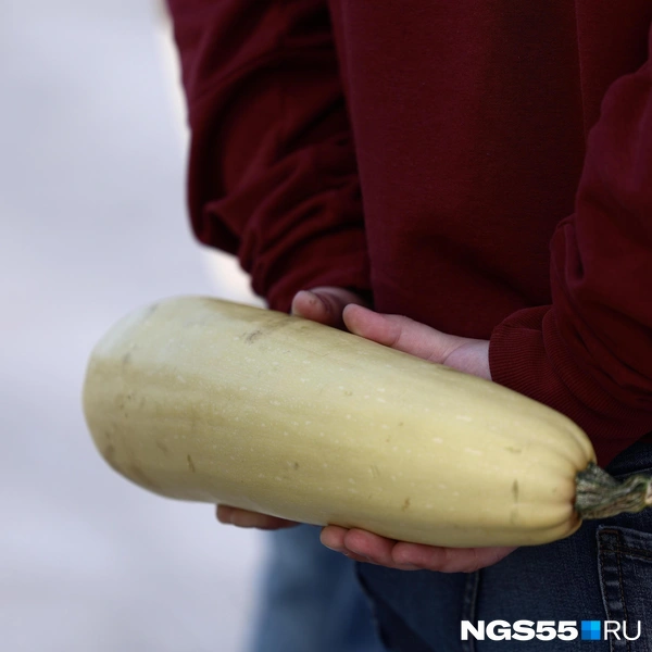 Этот овощ в руках у каждого | Источник: Евгений Софийчук / NGS55.RU