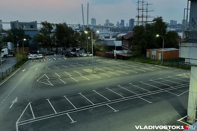 Сколько денег на это уйдет — неизвестно | Источник: Елена Буйвол / VLADIVOSTOK1.RU