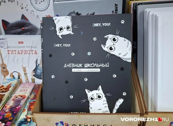 А такой&nbsp;— чуть попроще&nbsp;— стоит всего 160 рублей | Источник: Алёна Воропаева / Voronezh1.ru