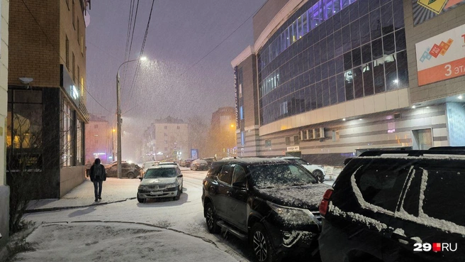 Источник: Юрий Скородумов / 29.RU