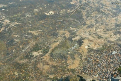 Минэк Забайкалья выступил за поддержку добытчиков лечебных грязей