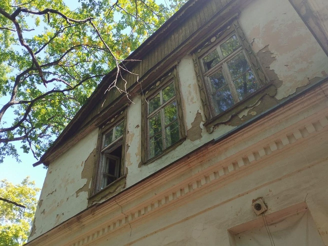 Источник: Дмитрий Волгин / Voronezh1.ru