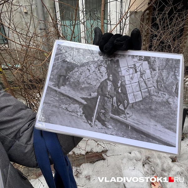 Источник: Елена Буйвол / VLADIVOSTOK1.RU