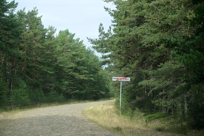Ленобласть закрыла заказники для защиты птиц