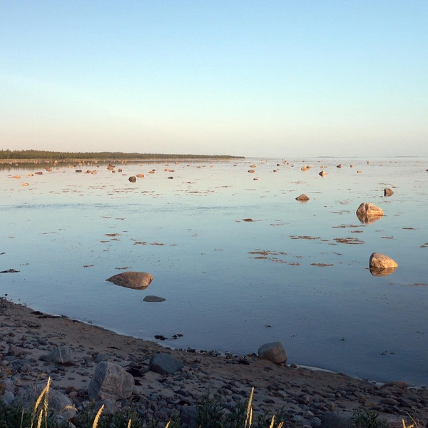 Прилив на Белом море | Источник: Евгений Марсаков