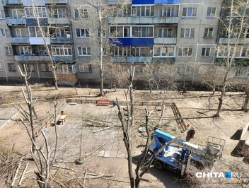 От деревьев остались стволы и «рогатки» | Источник: очевидец