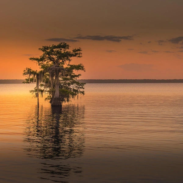 Второе место в номинации «Пейзаж» | Источник: Judy Haran / Florida Wildlife Federation Photo Contest 2025