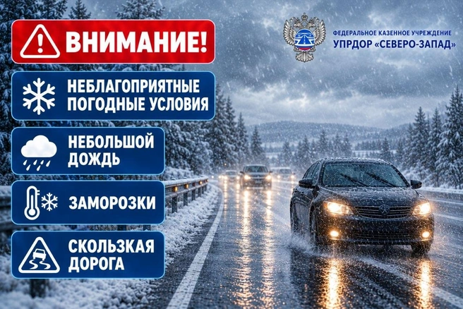 Штормовое предупреждение объявили в Ленобласти из-за заморозков | Источник: ФКУ Упрдор «Северо-Запад»