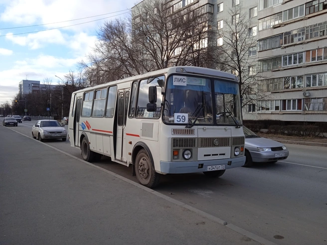 Мнение пассажиров поддержали представители общественности | Источник: Дмитрий Сильнов / 173.RU