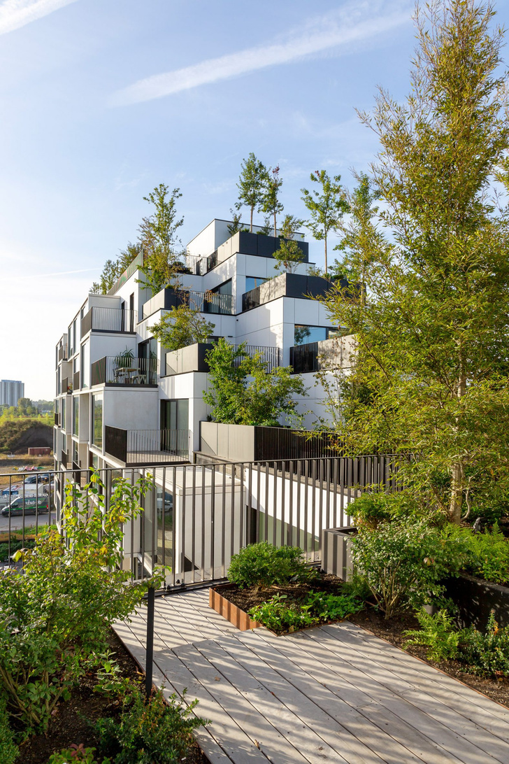 «Зеленый» жилой комплекс в Бельгии